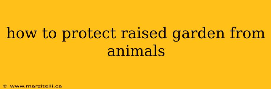 how to protect raised garden from animals