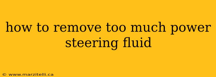 how to remove too much power steering fluid