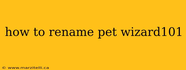 how to rename pet wizard101