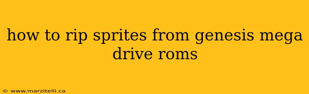 how to rip sprites from genesis mega drive roms