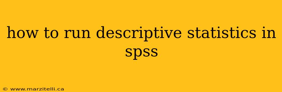 how to run descriptive statistics in spss