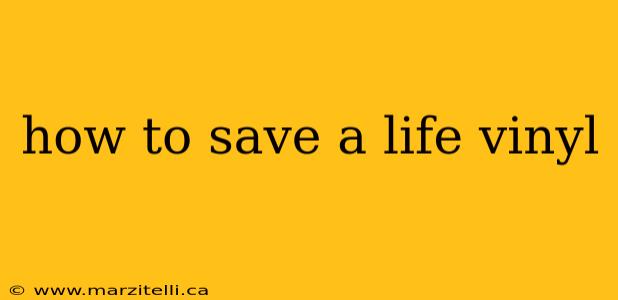 how to save a life vinyl
