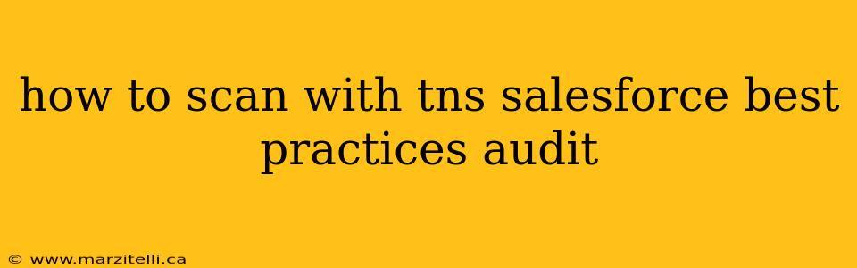 how to scan with tns salesforce best practices audit