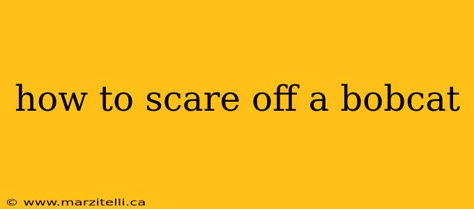 how to scare off a bobcat