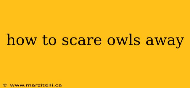 how to scare owls away