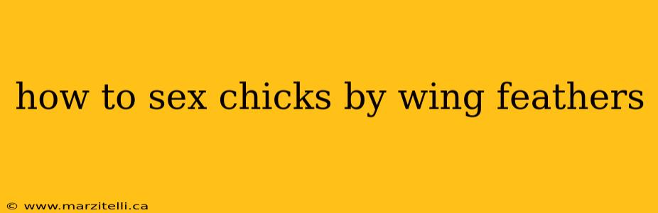 how to sex chicks by wing feathers