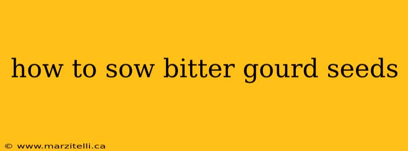 how to sow bitter gourd seeds