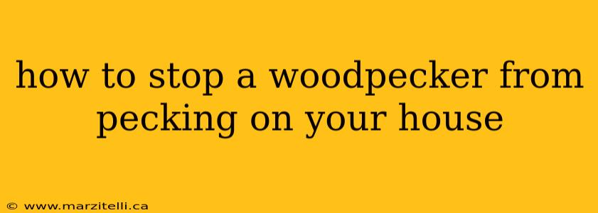 how to stop a woodpecker from pecking on your house