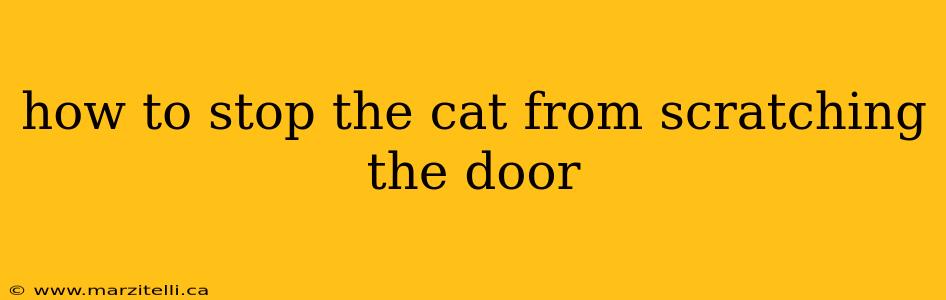 how to stop the cat from scratching the door