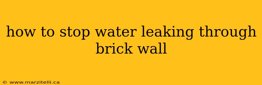 how to stop water leaking through brick wall