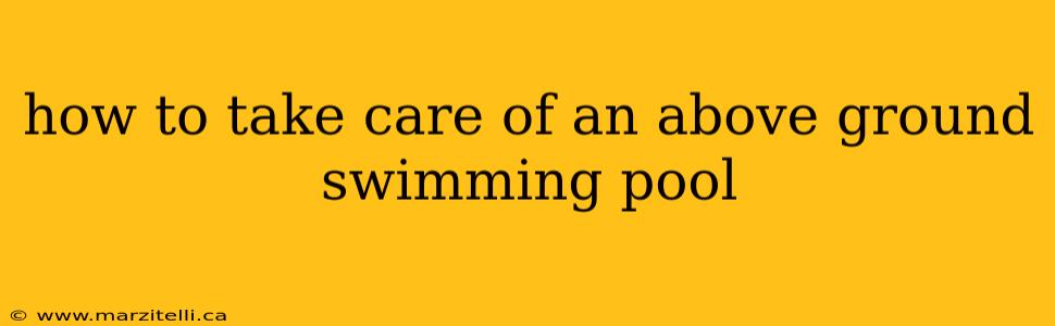 how to take care of an above ground swimming pool