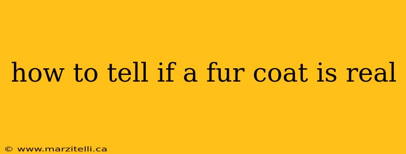 how to tell if a fur coat is real