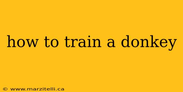 how to train a donkey