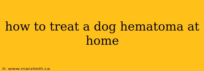 how to treat a dog hematoma at home