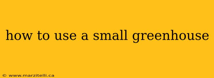 how to use a small greenhouse