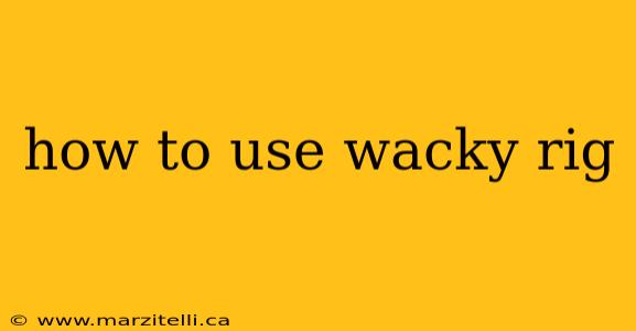 how to use wacky rig