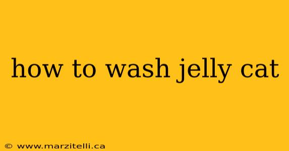 how to wash jelly cat