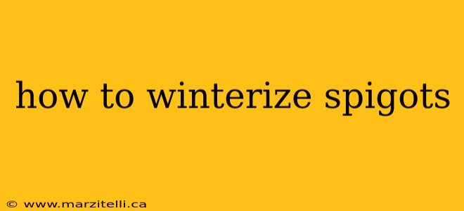 how to winterize spigots