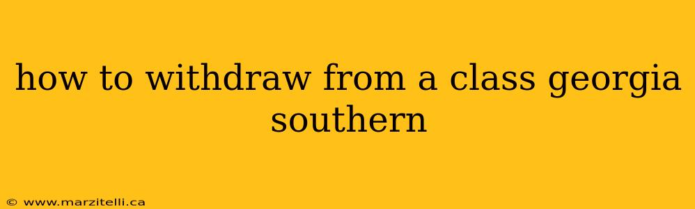 how to withdraw from a class georgia southern