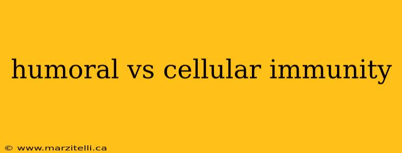 humoral vs cellular immunity