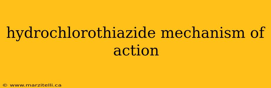 hydrochlorothiazide mechanism of action