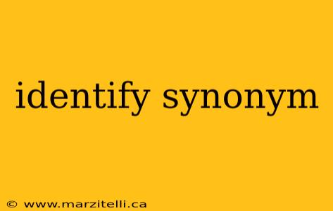 identify synonym
