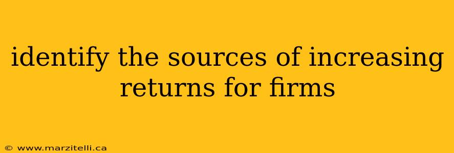 identify the sources of increasing returns for firms