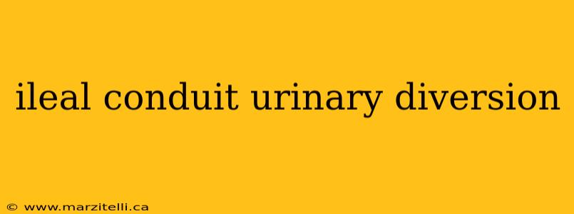 ileal conduit urinary diversion