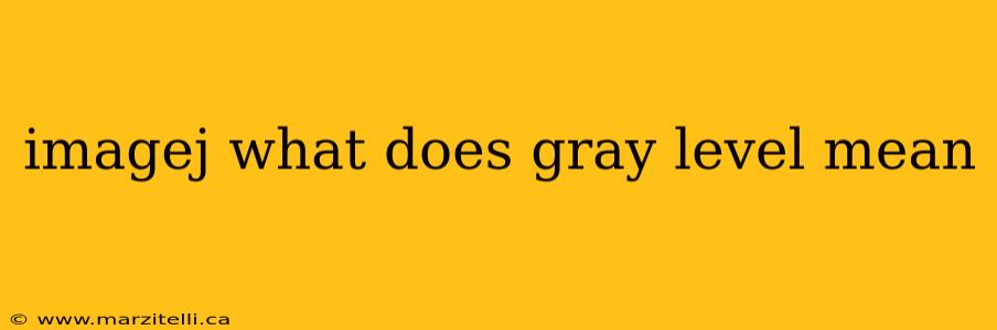 imagej what does gray level mean