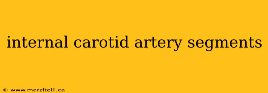 internal carotid artery segments