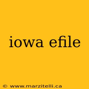 iowa efile
