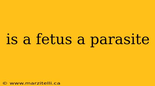 is a fetus a parasite