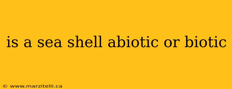 is a sea shell abiotic or biotic