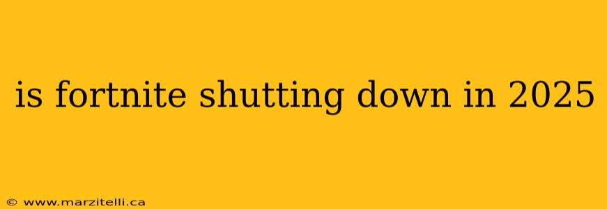 is fortnite shutting down in 2025