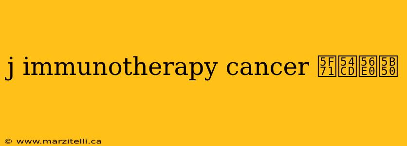 j immunotherapy cancer 影响因子