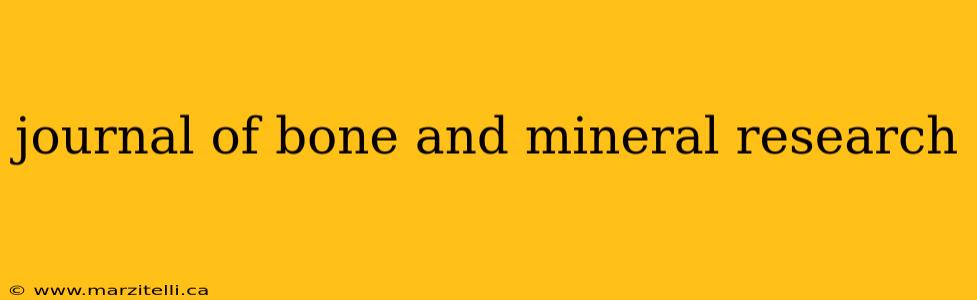 journal of bone and mineral research