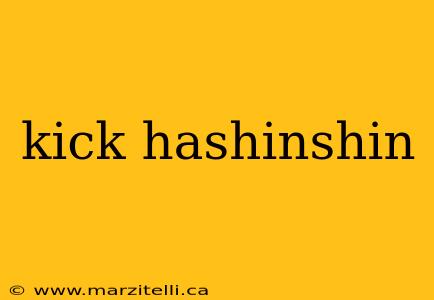 kick hashinshin