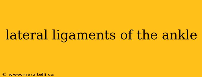 lateral ligaments of the ankle