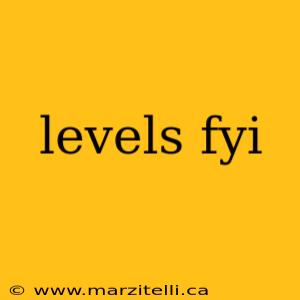 levels fyi