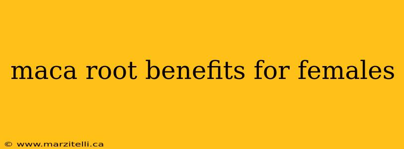 maca root benefits for females