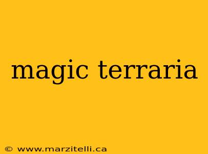 magic terraria