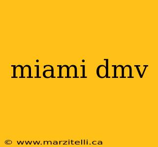 miami dmv