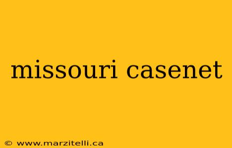 missouri casenet