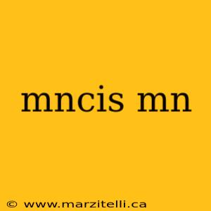 mncis mn