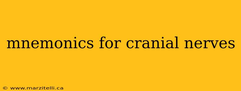mnemonics for cranial nerves