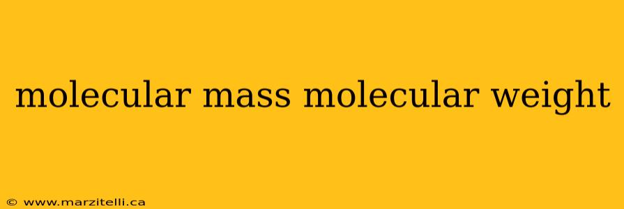 molecular mass molecular weight