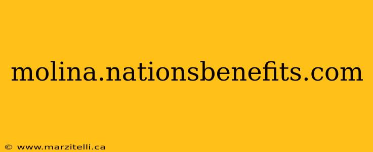 molina.nationsbenefits.com