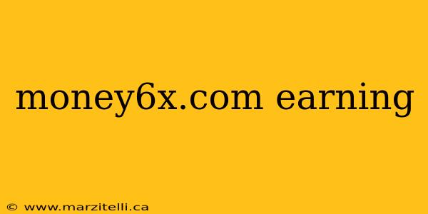 money6x.com earning