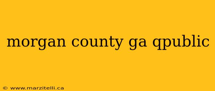 morgan county ga qpublic