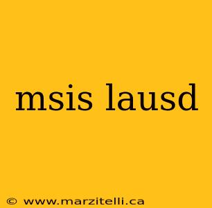 msis lausd